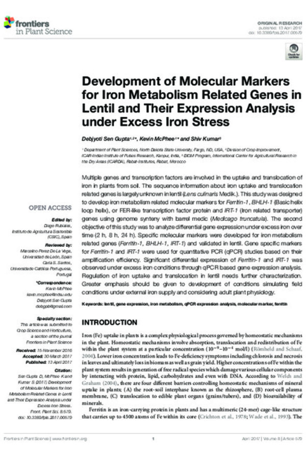 Development of Molecular Markers for Iron Metabolism Related Genes in Lentil and Their Expression Analysis under Excess Iron Stress
