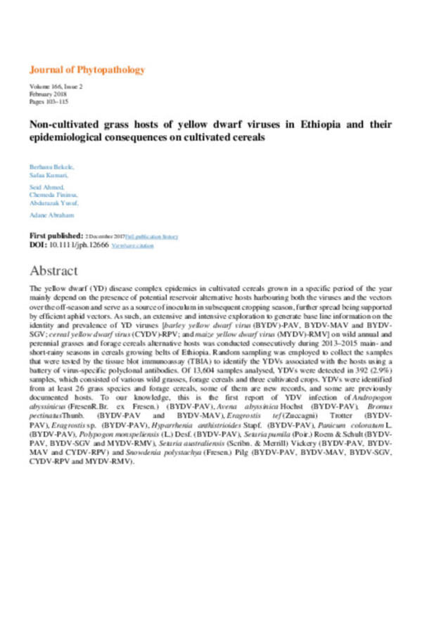 Non-cultivated grass hosts of yellow dwarf viruses in Ethiopia and their epidemiological consequences on cultivated cereals Non-cultivated grass hosts of yellow dwarf viruses in Ethiopia and their epidemiological consequences on cultivated cereals
