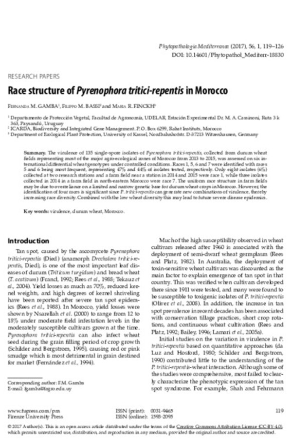 Race structure of Pyrenophora tritici-repentis in Morocco