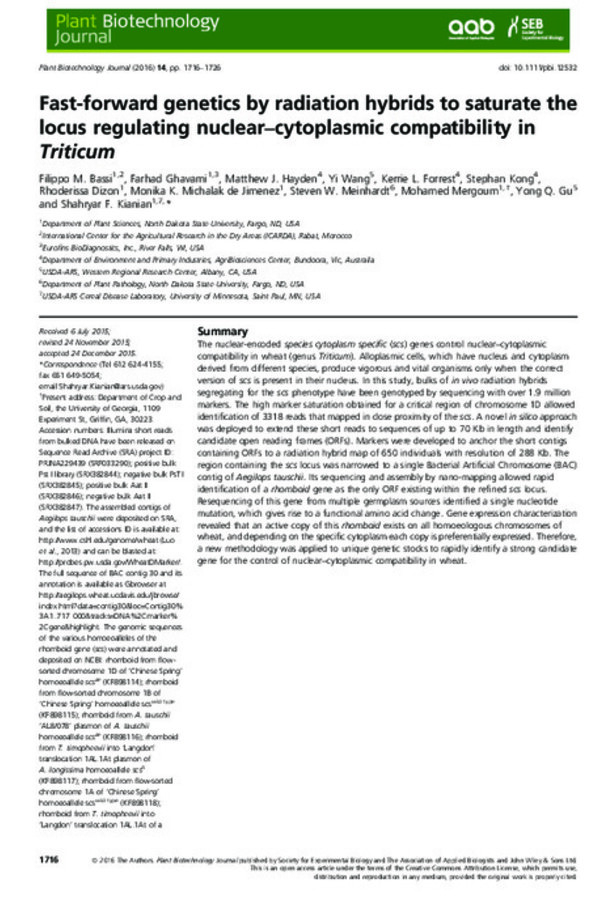 Fast-forward genetics by radiation hybrids to saturate the locus regulating nuclear–cytoplasmic compatibility in Triticum Fast-forward genetics by radiation hybrids to saturate the locus regulating nuclear–cytoplasmic compatibility in Triticum