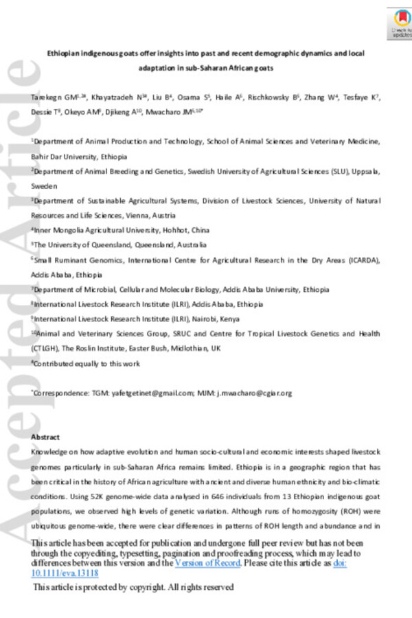 Ethiopian indigenous goats offer insights into past and recent demographic dynamics and local adaptation in sub-Saharan African goats