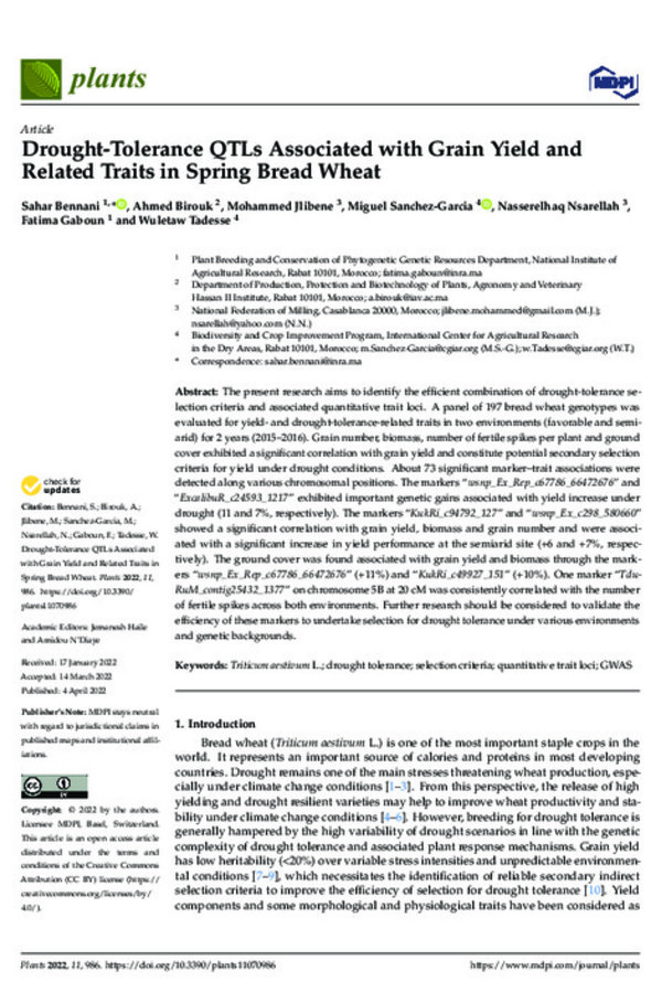 Drought-Tolerance QTLs Associated with Grain Yield and Related Traits in Spring Bread Wheat Drought-Tolerance QTLs Associated with Grain Yield and Related Traits in Spring Bread Wheat