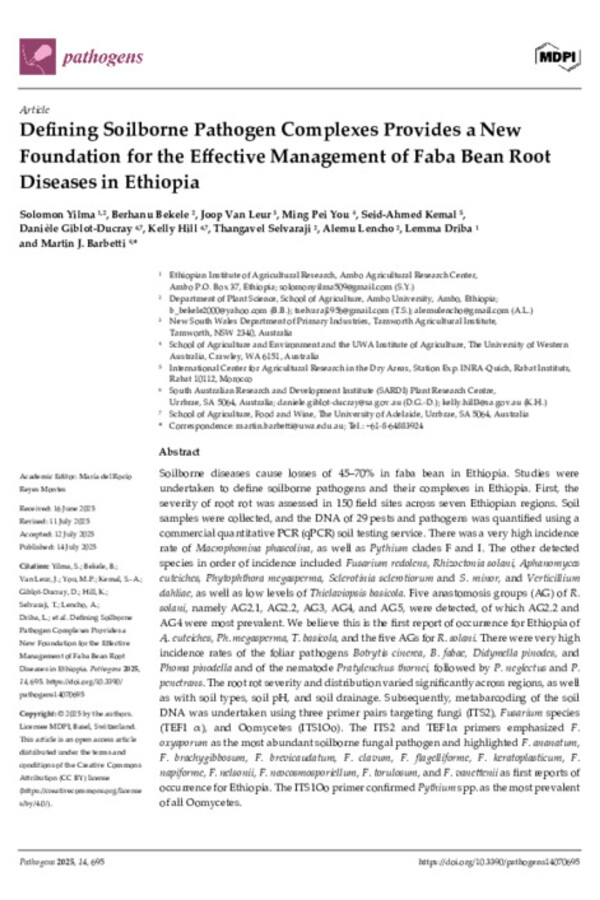 Defining Soilborne Pathogen Complexes Provides a New Foundation for the Effective Management of Faba Bean Root Diseases in Ethiopia
