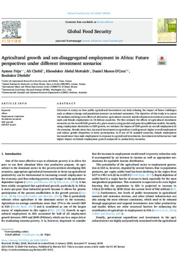 Agricultural growth and sex-disaggregated employment in Africa: Future perspectives under different investment scenarios