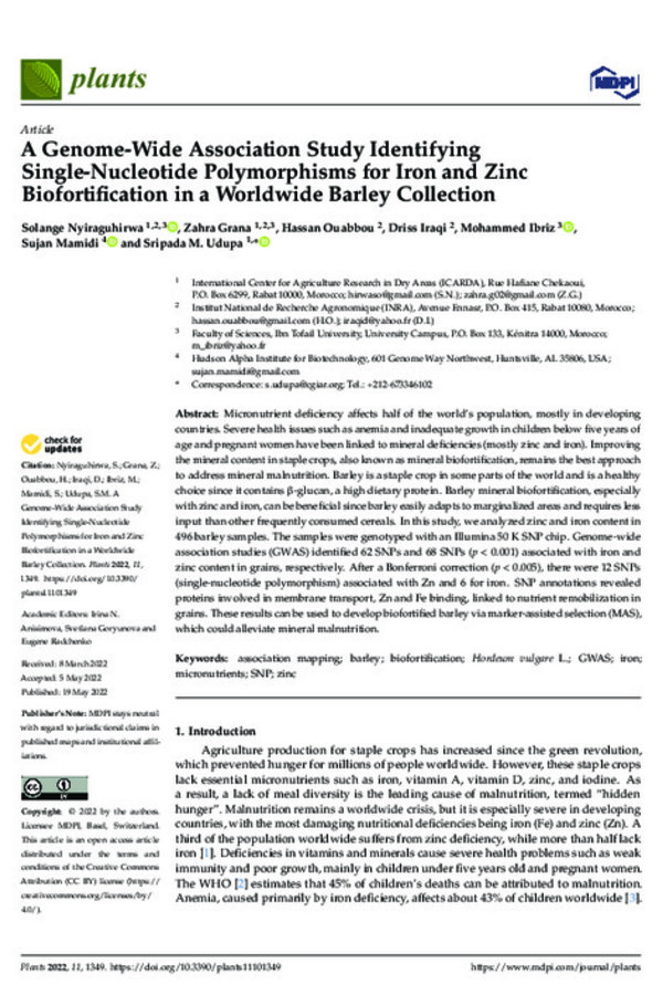A Genome-Wide Association Study Identifying Single-Nucleotide Polymorphisms for Iron and Zinc Biofortification in a Worldwide Barley Collection