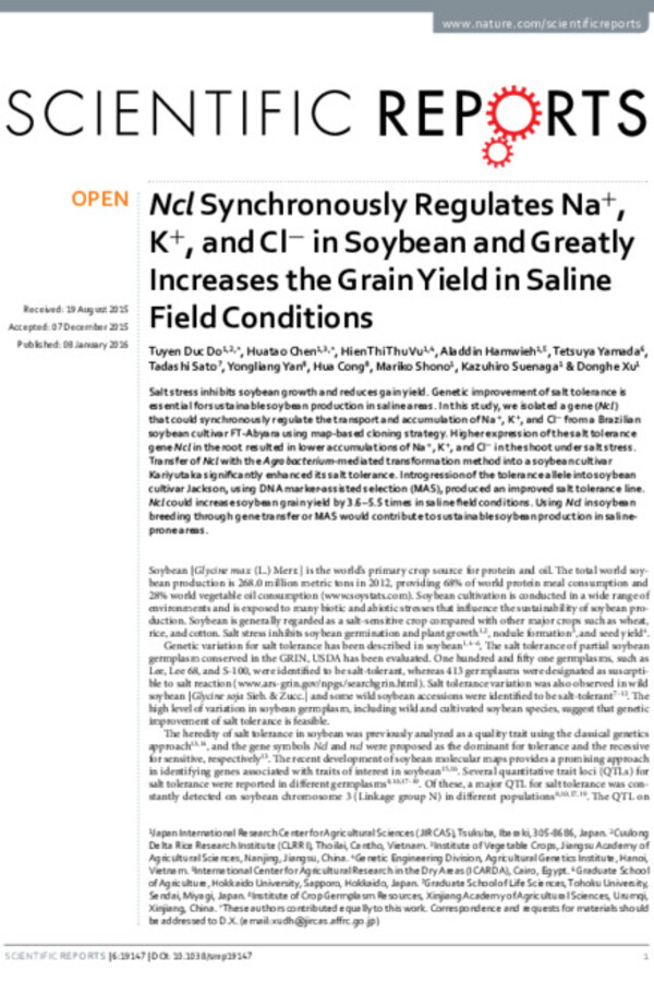 Ncl Synchronously Regulates Na+, K+, and Cl− in Soybean and Greatly Increases the Grain Yield in Saline Field Conditions Ncl Synchronously Regulates Na+, K+, and Cl− in Soybean and Greatly Increases the Grain Yield in Saline Field Conditions