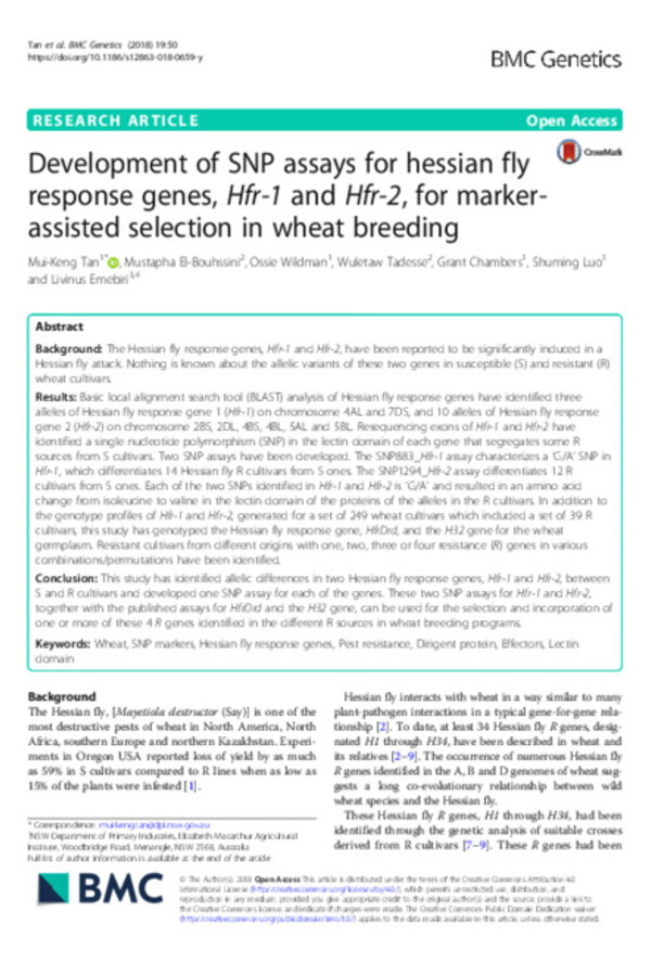 Development of SNP assays for hessian fly response genes, Hfr-1 and Hfr-2, for marker-assisted selection in wheat breeding