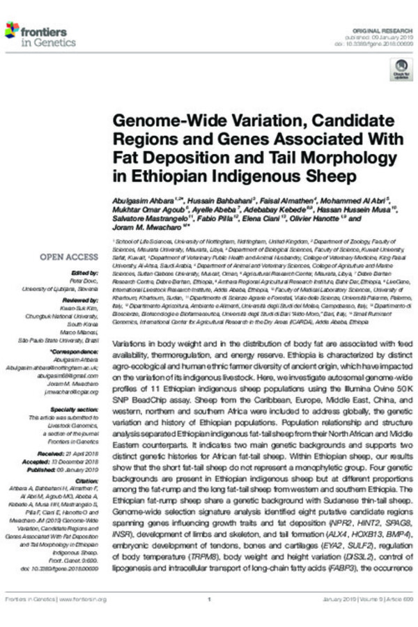 Genome-Wide Variation, Candidate Regions and Genes Associated With Fat Deposition and Tail Morphology in Ethiopian Indigenous Sheep