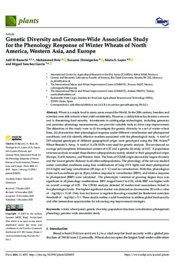 Genetic Diversity and Genome-Wide Association Study for the Phenology Response of Winter Wheats of North America, Western Asia, and Europe
