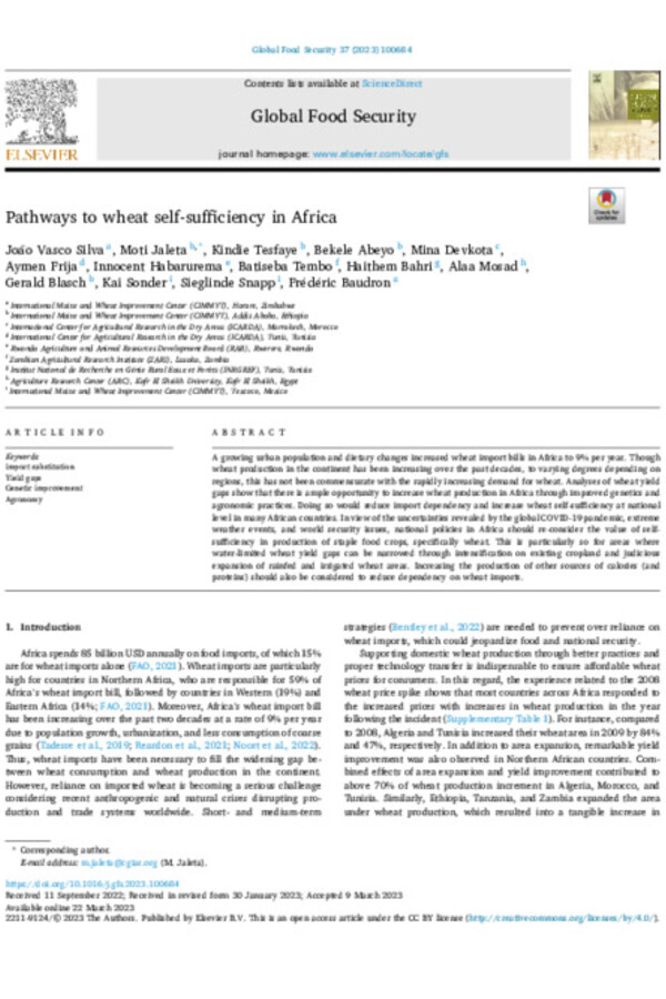 Pathways to wheat self-sufficiency in Africa 