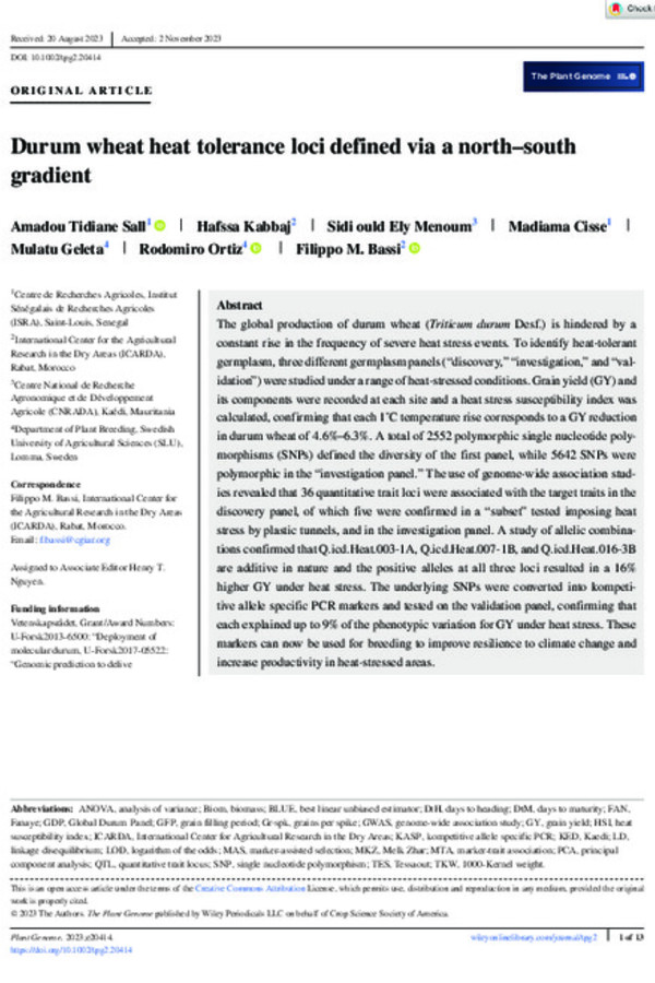 Durum wheat heat tolerance loci defined via a north–south gradient