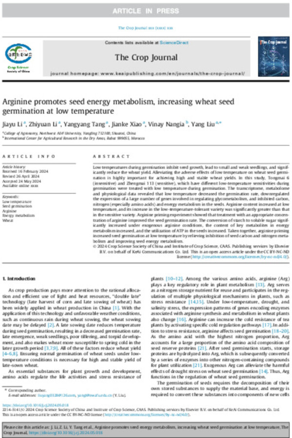 Arginine promotes seed energy metabolism, increasing wheat seed germination at low temperature Arginine promotes seed energy metabolism, increasing wheat seed germination at low temperature