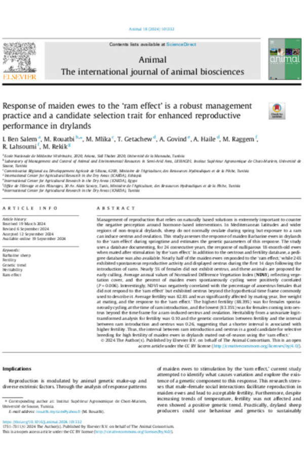 Response of maiden ewes to the ‘ram effect’ is a robust management practice and a candidate selection trait for enhanced reproductive performance in drylands