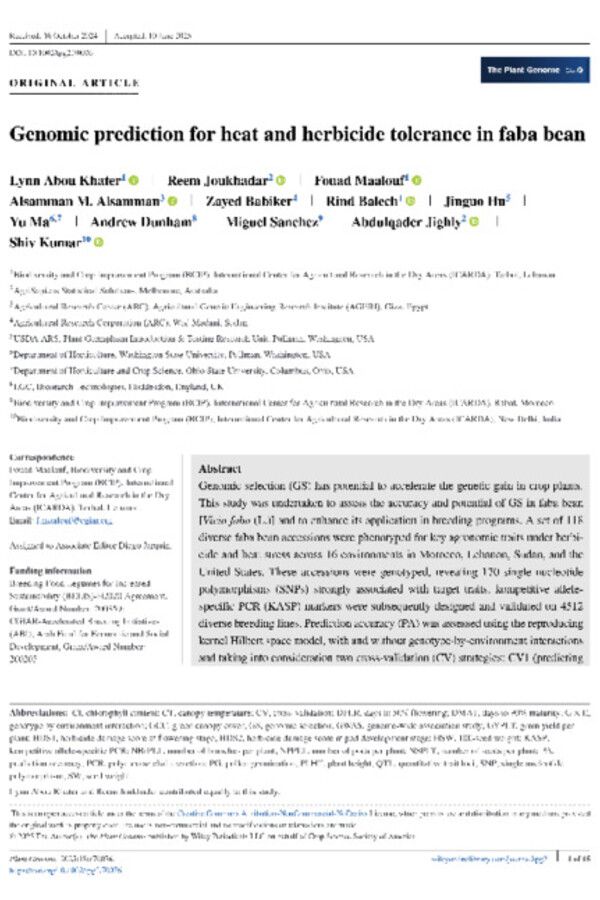 Genomic prediction for heat and herbicide tolerance in faba bean