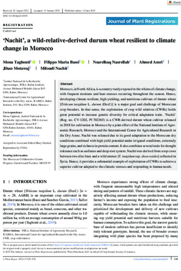 ‘Nachit’, a wild-relative-derived durum wheat resilient to climate change in Morocco ‘Nachit’, a wild-relative-derived durum wheat resilient to climate change in Morocco