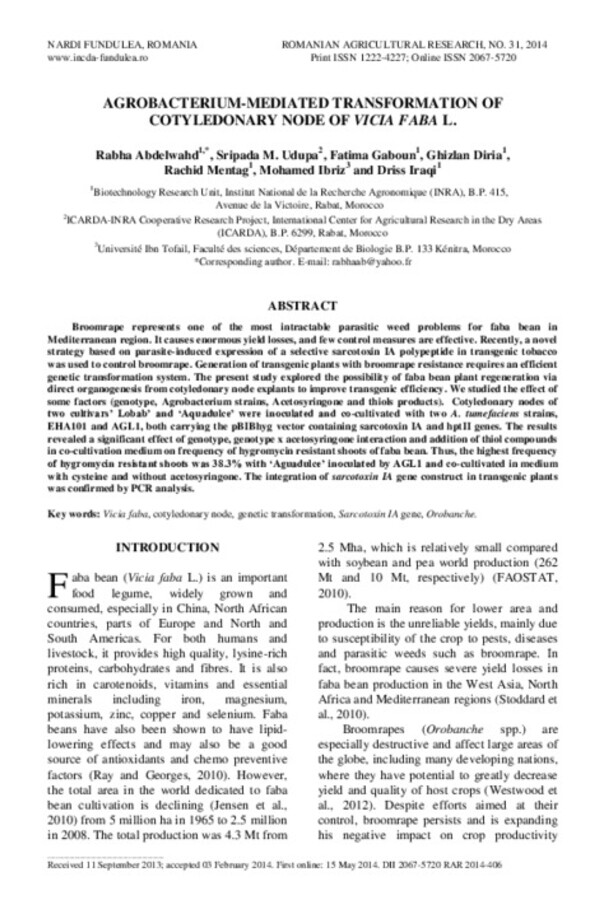 Agrobacterium-mediated transformation of cotyledonary node of Vicia faba L. Agrobacterium-mediated transformation of cotyledonary node of Vicia faba L.