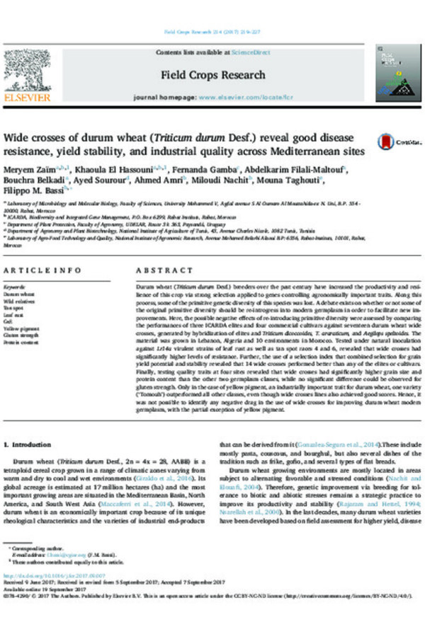 Wide crosses of durum wheat (Triticum durum Desf.) reveal good disease resistance, yield stability, and industrial quality across Mediterranean sites