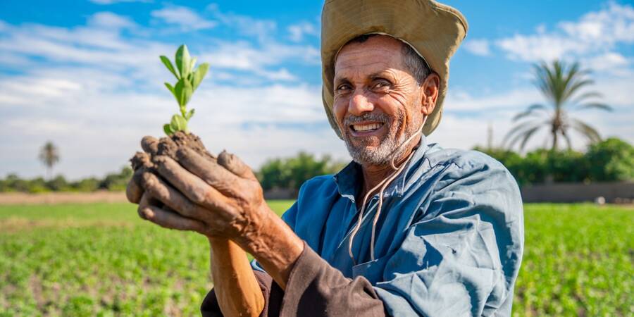 iNASHR - Photo credit: Ahmed El Shimy iNASHR - Photo credit: Ahmed El Shimy