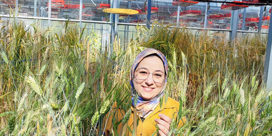Dr. Hafssa Kabbaj Dr. Hafssa Kabbaj