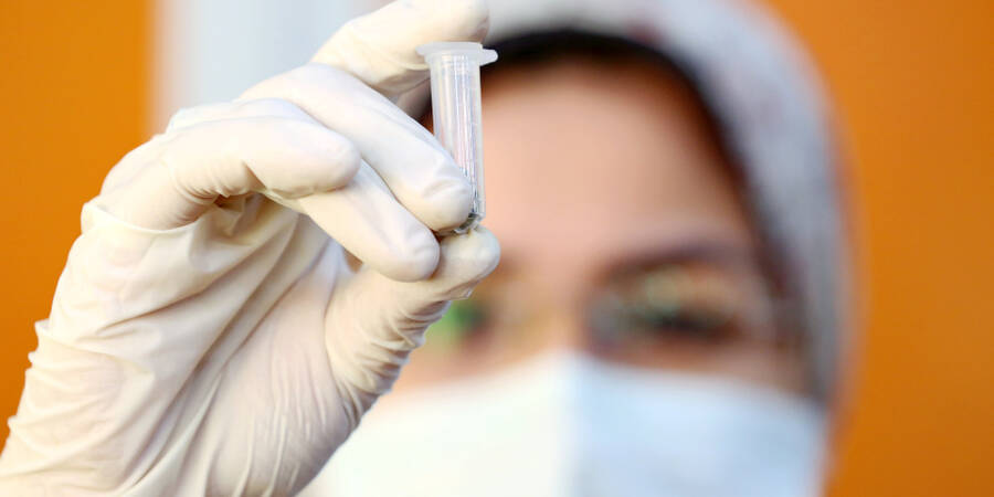 ICARDA Research Scientist