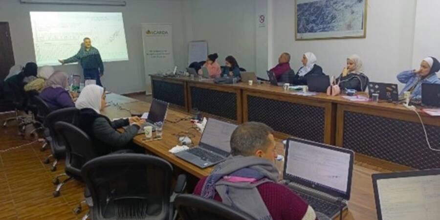 Participants