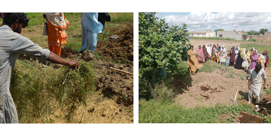 compost making demo